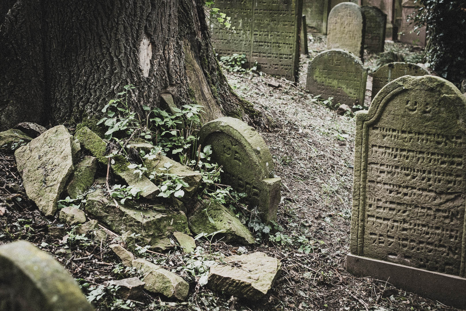 Gelnhausen, Jüdischer Friedhof